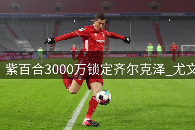 紫百合3000万锁定齐尔克泽 尤文因戴维滞留错失良机