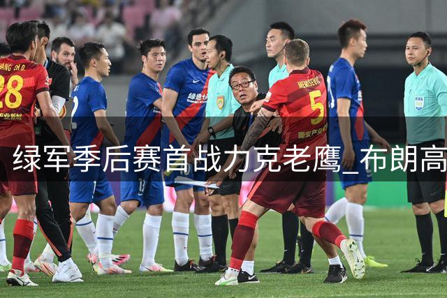 绿军季后赛首战力克老鹰 布朗高效砍29+12